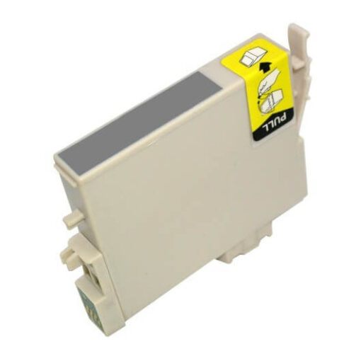 Cartouche Epson Photo Grise T0599 - Compatible